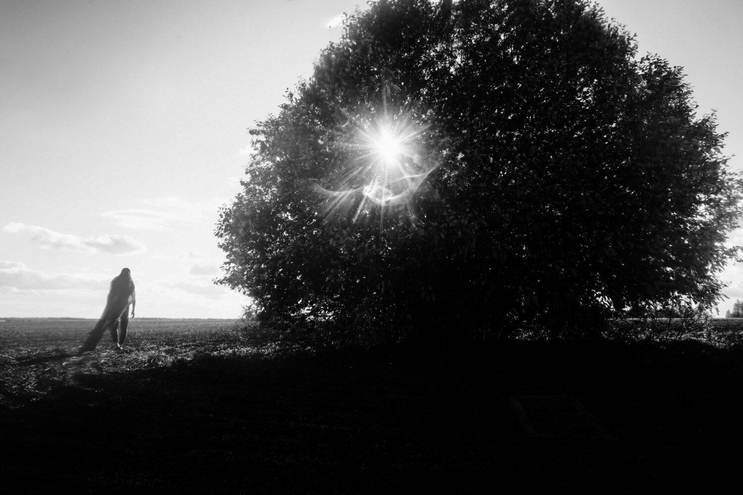 Концепт,Черно белое, Alexandr Tataev