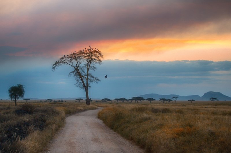 Пристанище на ночь фото превью