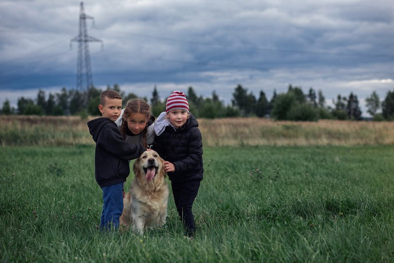 Семья, ретривер, дружба a man finds a friend фото превью
