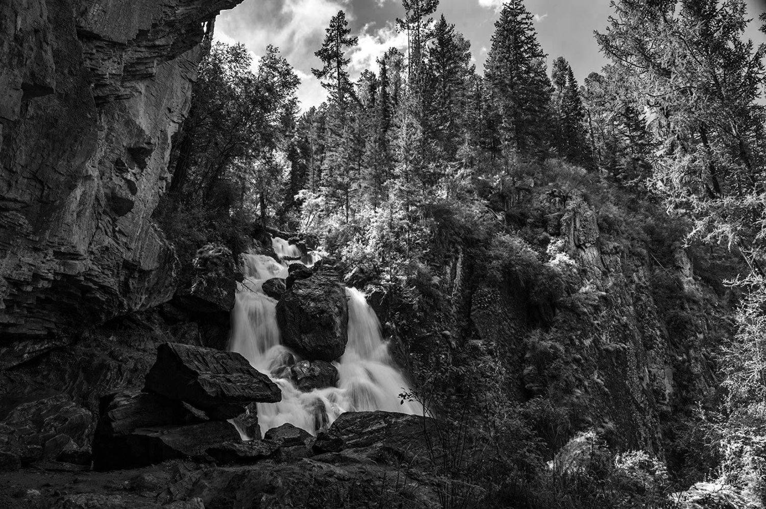 , Олег Логунов