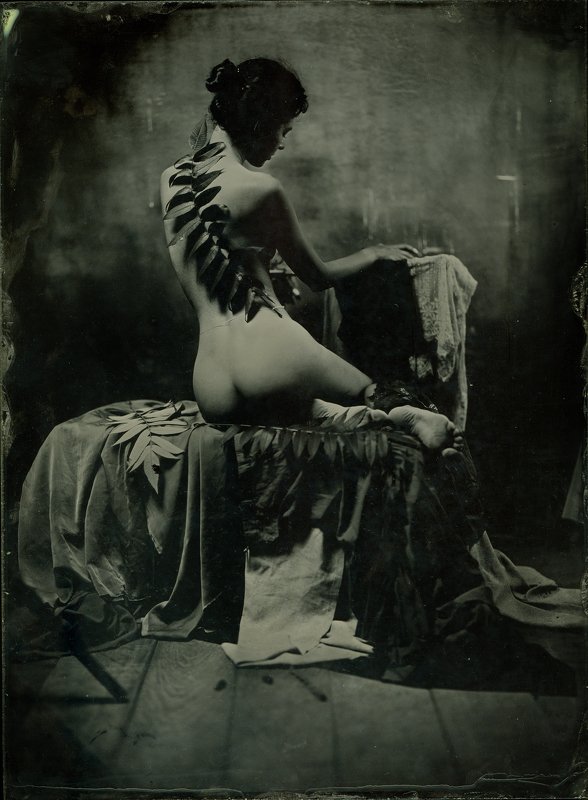 wetplate, collodion no name фото превью