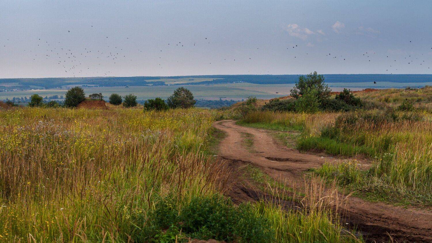 , Марат Кучкаев