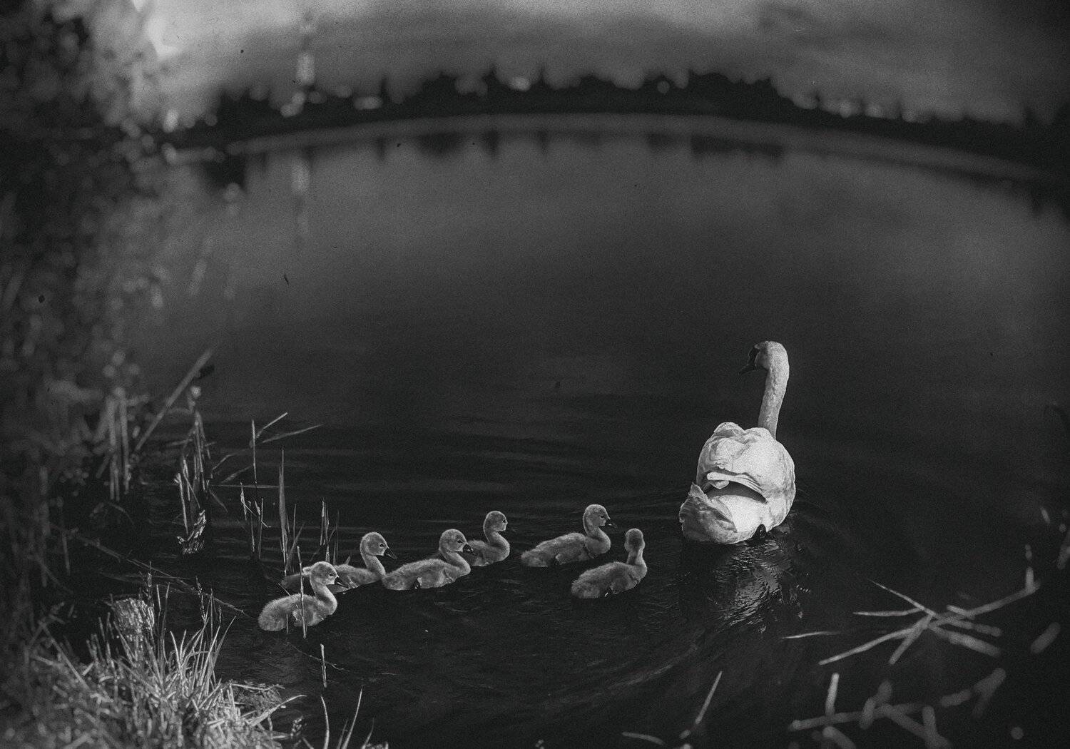 #iphone, #picsart, #snapseed, Artur Politov