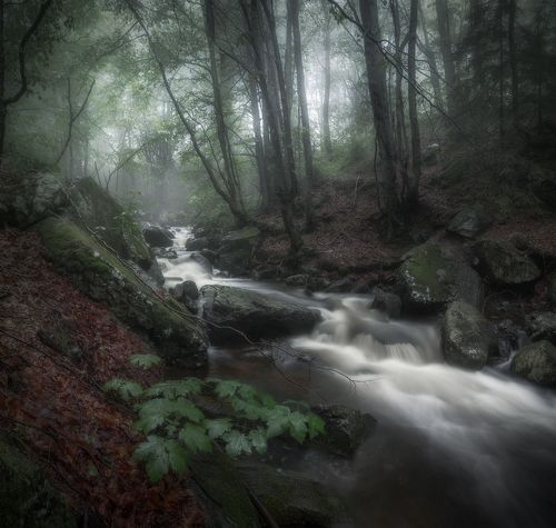 Through mysteries of mountain