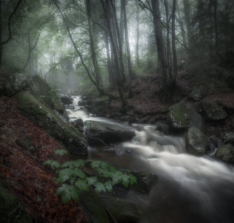 Through mysteries of mountain фото превью