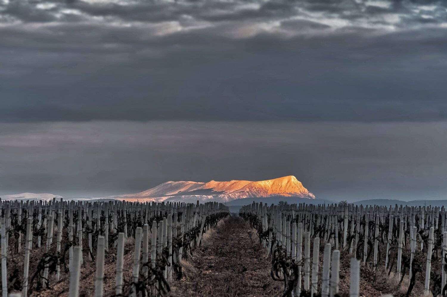 , Андрей Кривцов