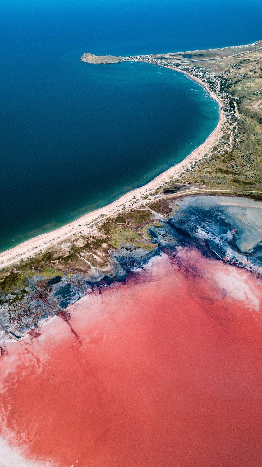 , Андрей Кривцов