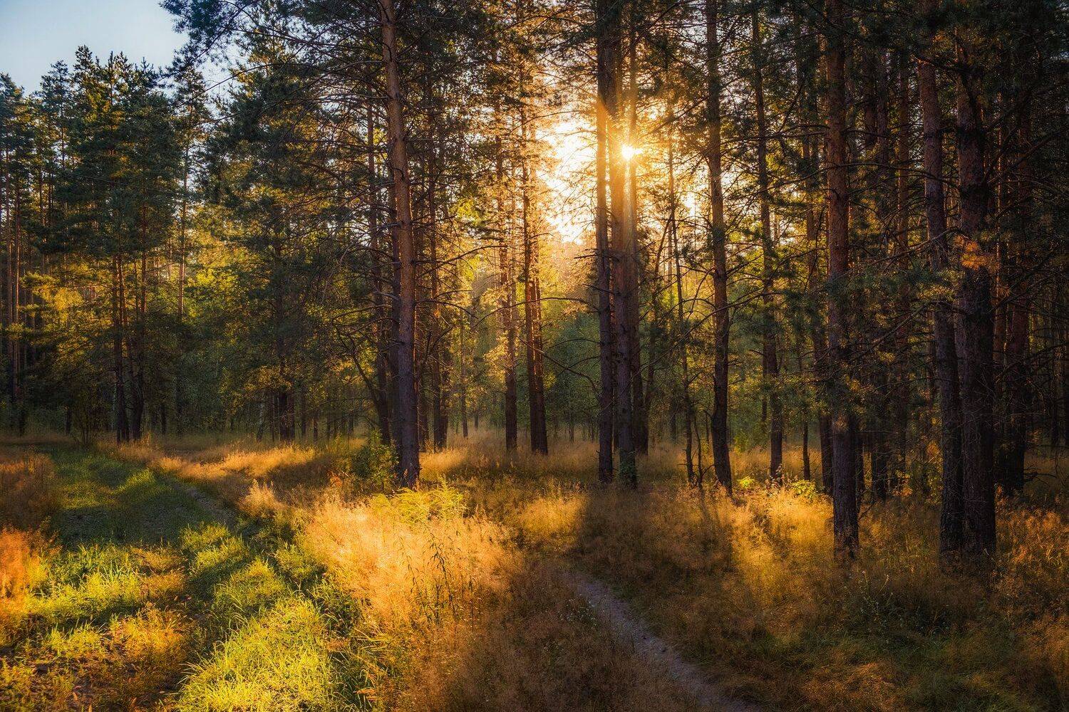 , Екатерина