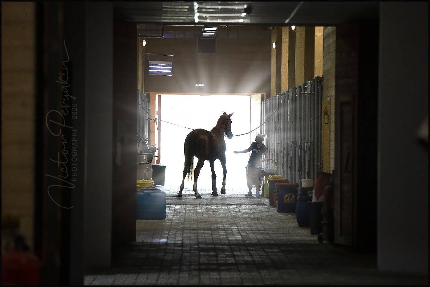 , Виктор Перякин