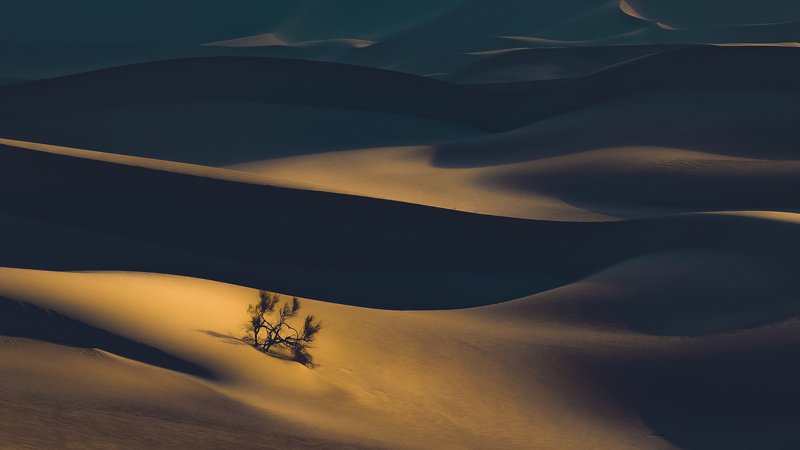 Desert II фото превью