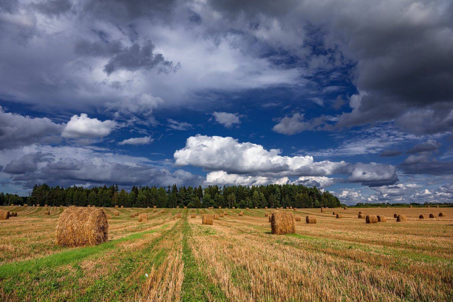 , Руслан Авдевич