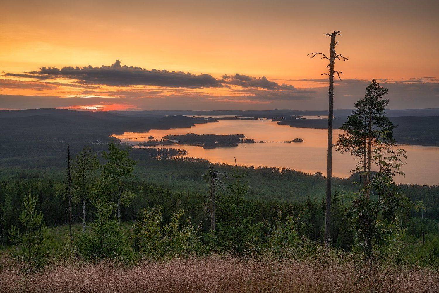 Clouds, Dalecarlia, deadtrees, Evening, eveningmood, fallentrees, Forest, goldenleaves, Grass, Grejsan, Grejsanberget, grejsansf&auml;bod, lake, lakeamungen, Leachen, midnightsun, moss, mountaingrejsan, mountainpasture, nature, outdoors, Sun, Sunset, Sunstar, , Ludwig Riml