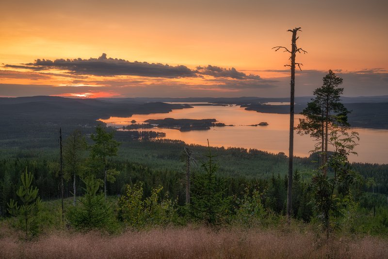 Clouds, Dalecarlia, deadtrees, Evening, eveningmood, fallentrees, Forest, goldenleaves, Grass, Grejsan, Grejsanberget, grejsansfäbod, lake, lakeamungen, Leachen, midnightsun, moss, mountaingrejsan, mountainpasture, nature, outdoors, Sun, Sunset, Sunstar,  Viewpoint Mt. Grejsan фото превью