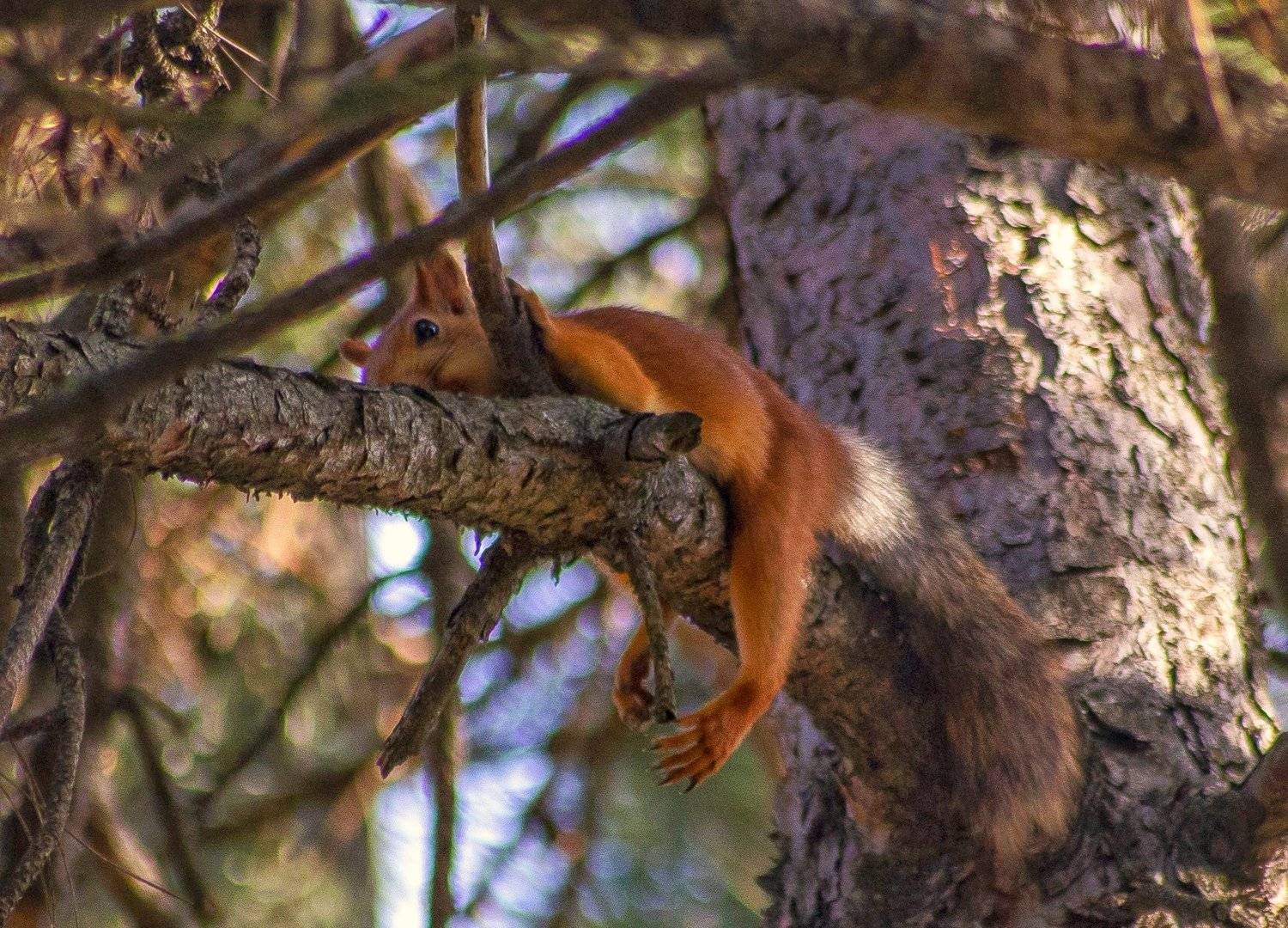 , Павел Сагайдак