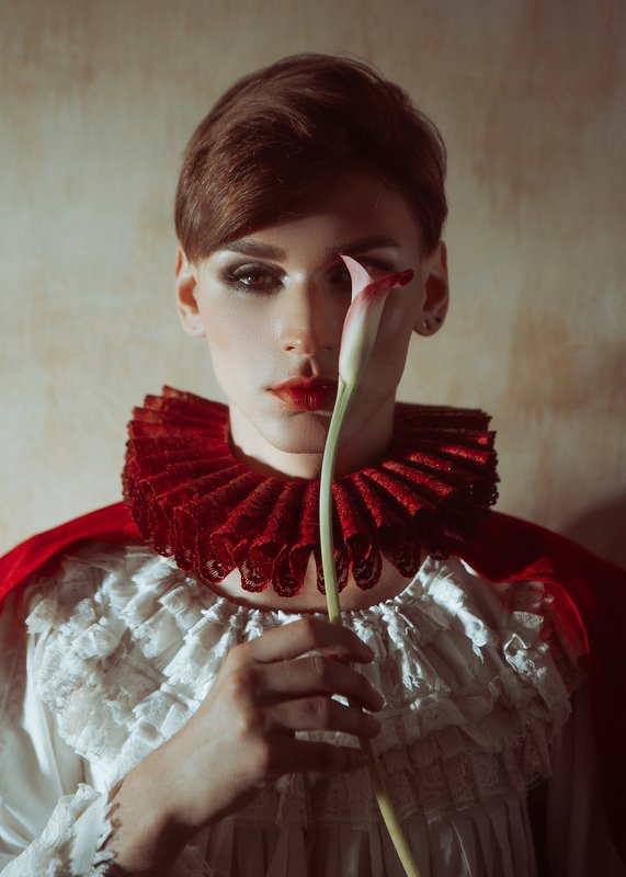 #арт#art #концептуальное#принц#концепт#история#винтаж#векторианскийпортрет принц фото превью