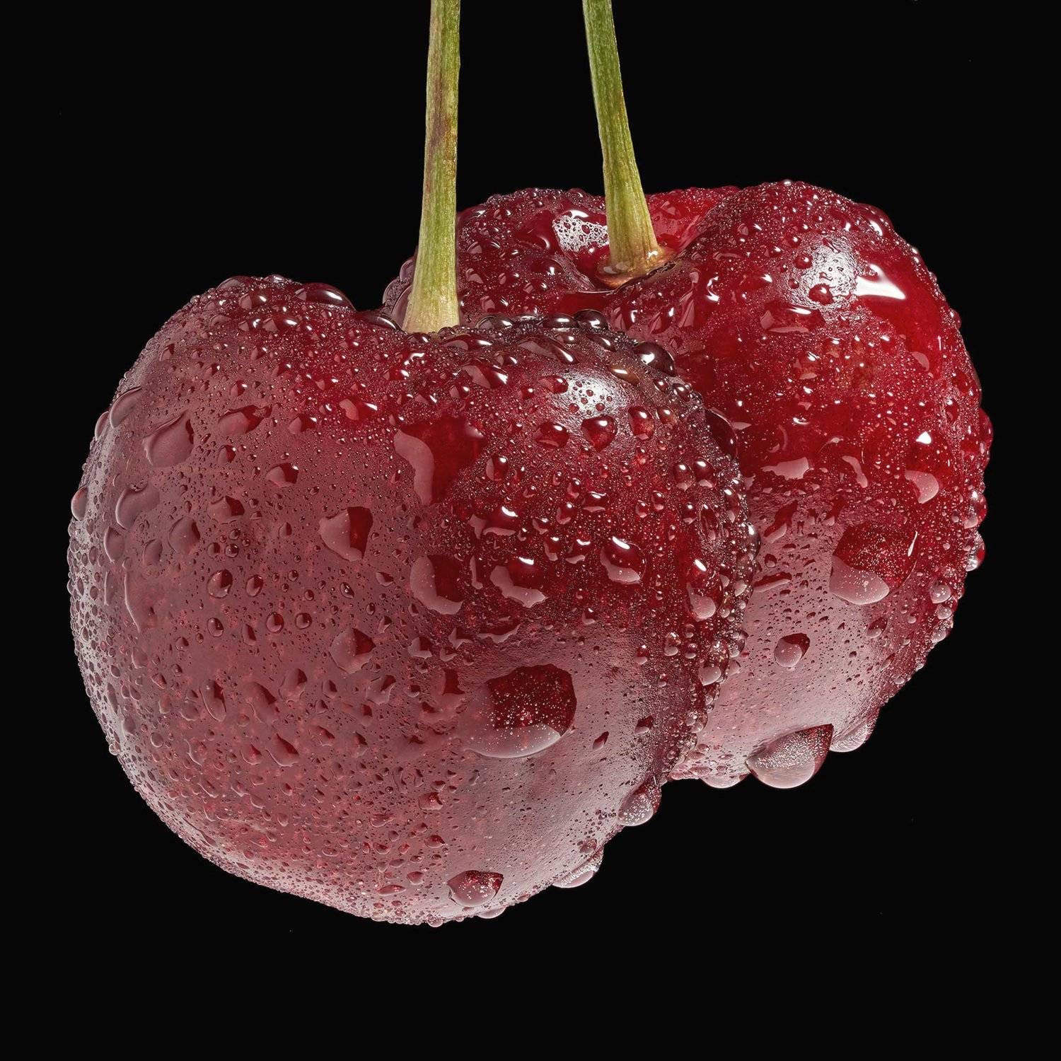 , Михаил Кудрявцев