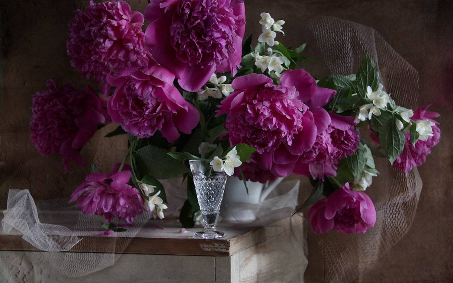 натюрморт, Svetlana Ра