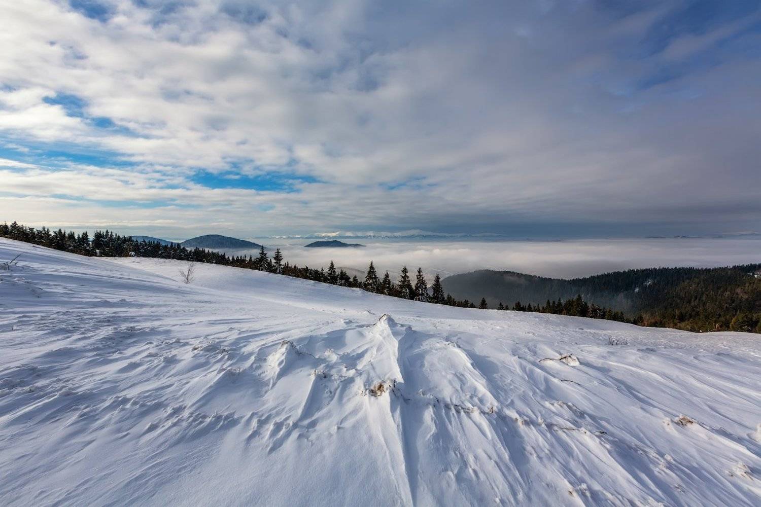 , Игорь Иванов