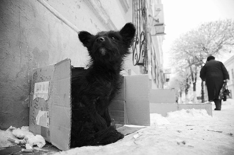 ** фото превью