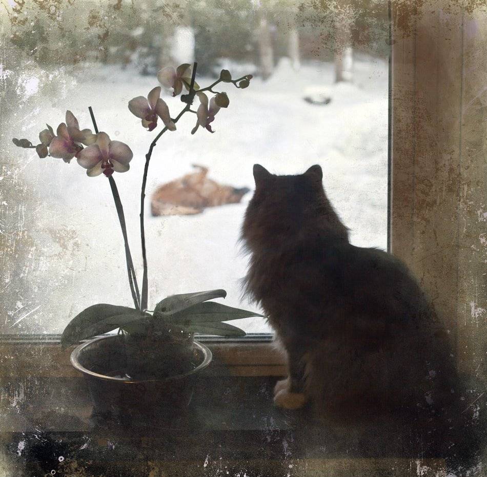 , Людмила Прокофьева