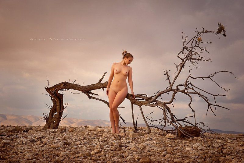 art, nude, judean desert, fantasy, alex vanzetti Venus of the Judean Desert фото превью