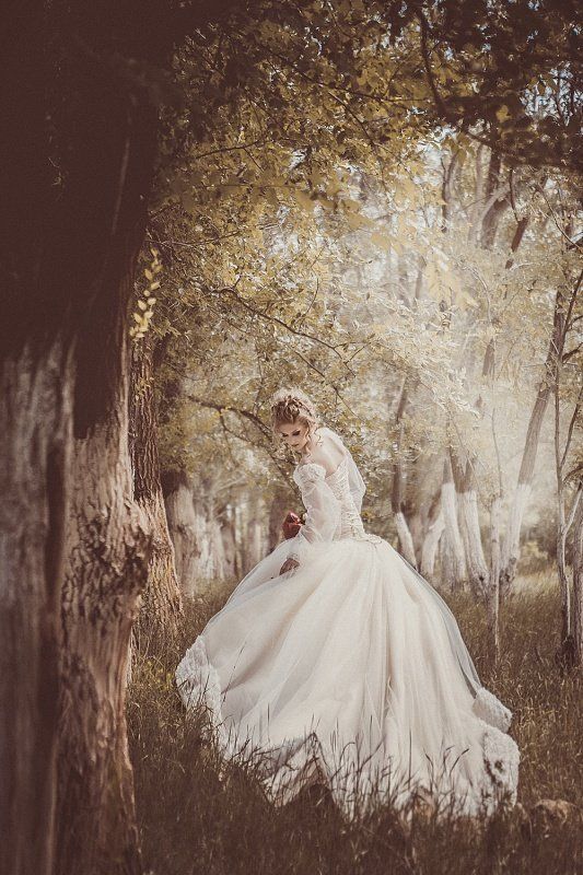 Патюля фото превью