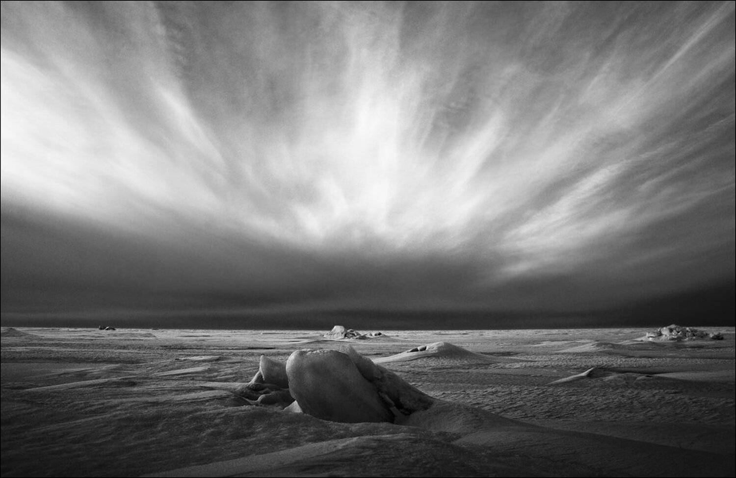 , Крицак Ольга