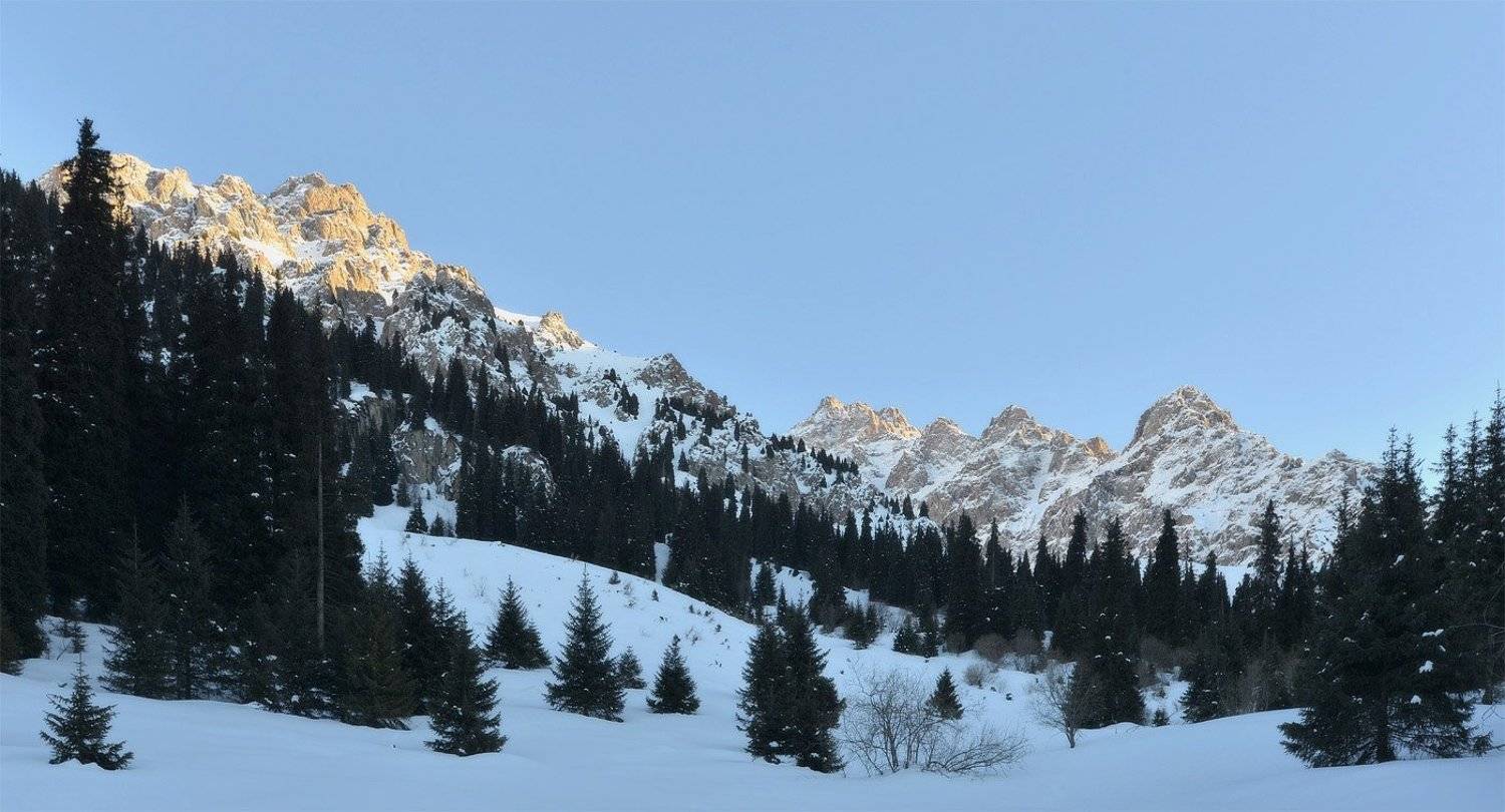 , Сергей Седов