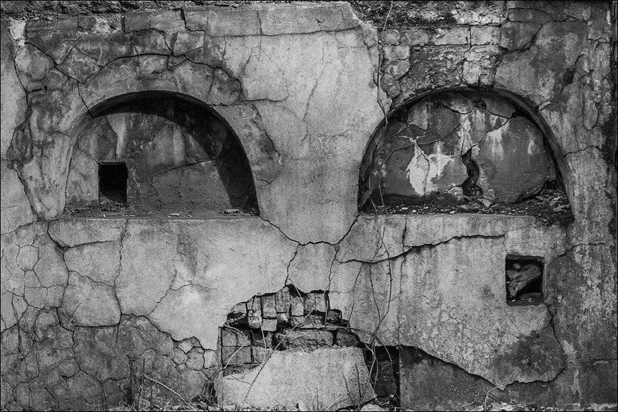 , Палаткин Александр