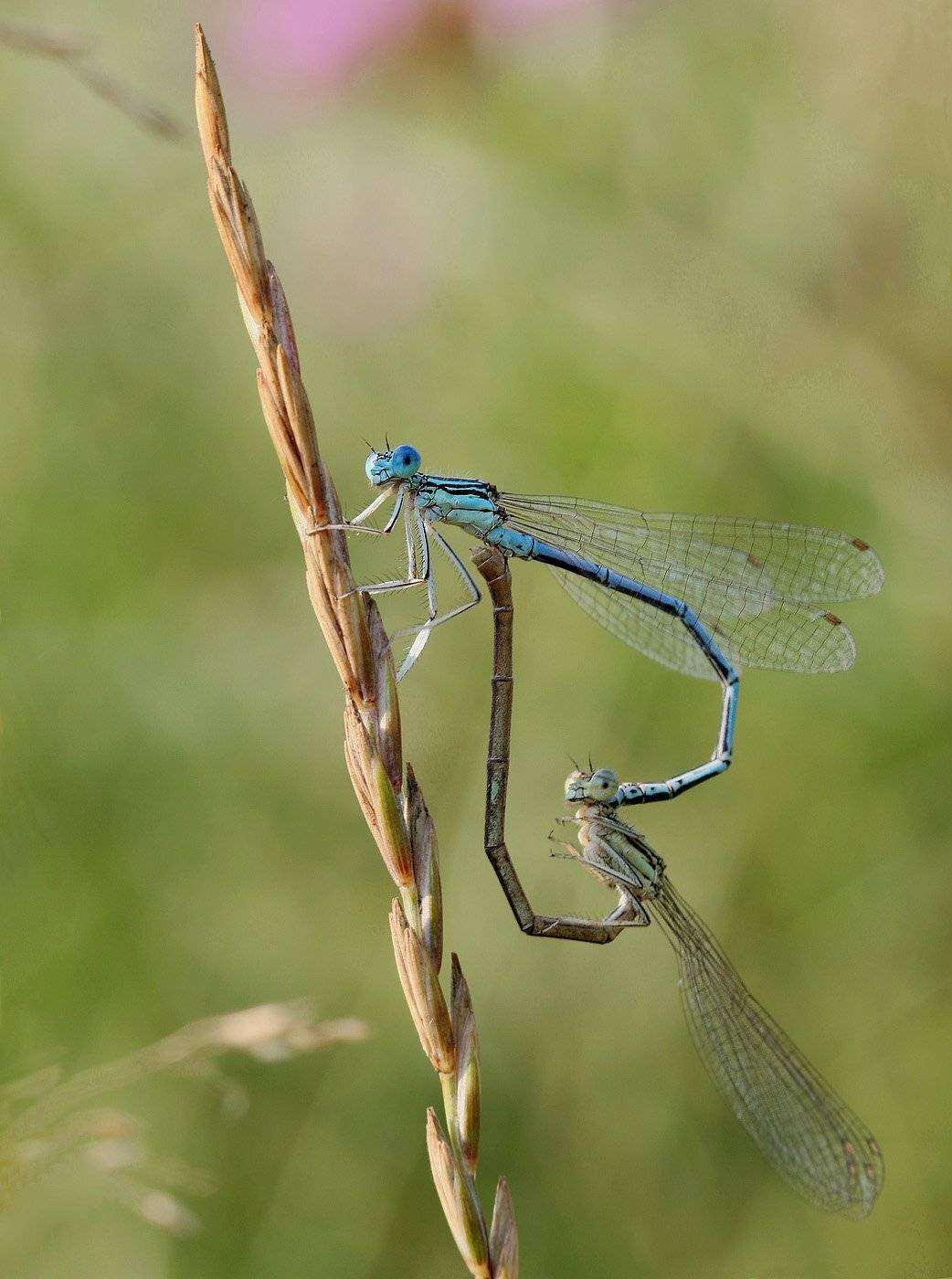 , Андрей Канышев