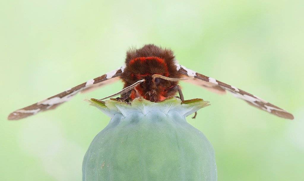 , Сергей Таланов