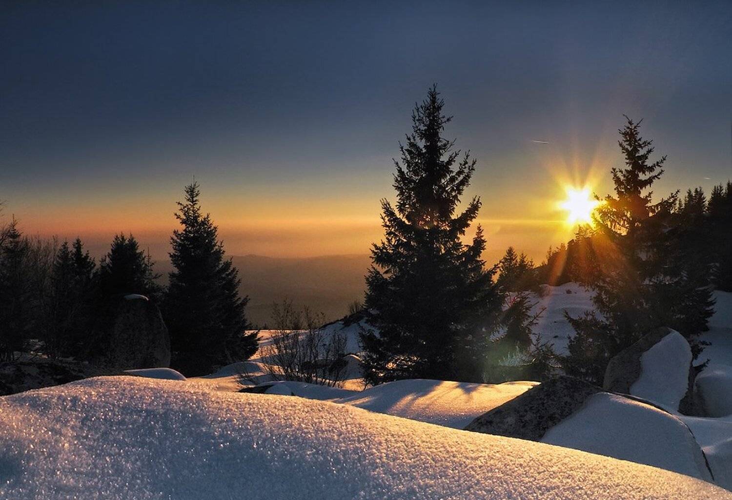 , Ирина Костова