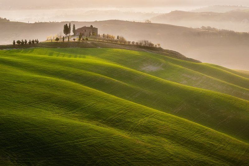 Cypress dreams фото превью