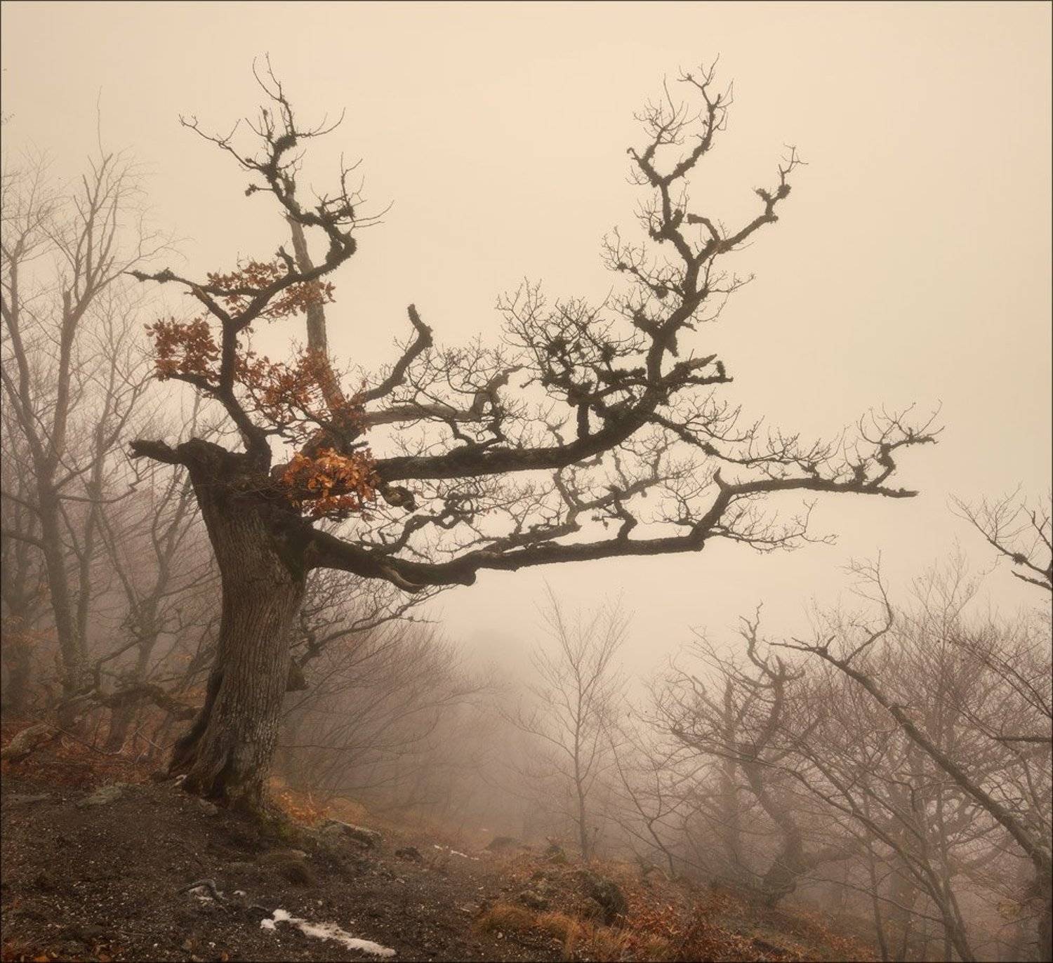 , Александр Киценко