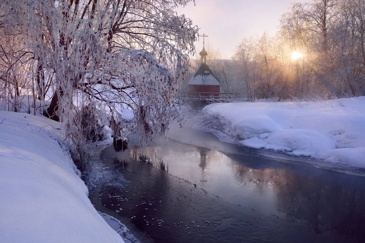 , Максим Евдокимов