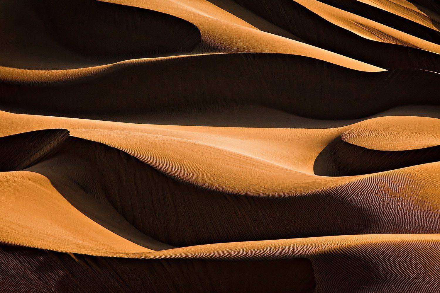 , Mohammadreza Momeni