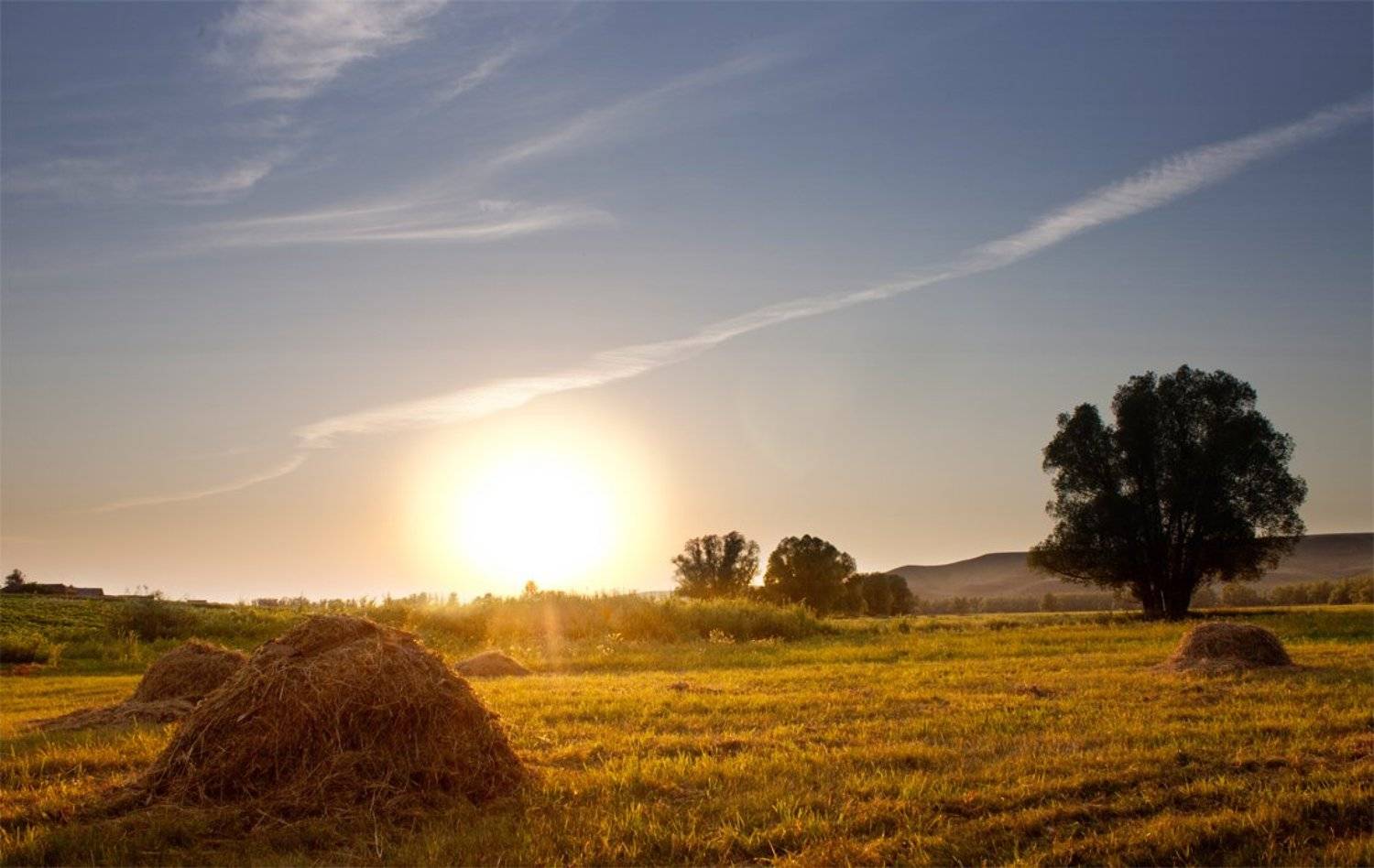 , Александр Большаков