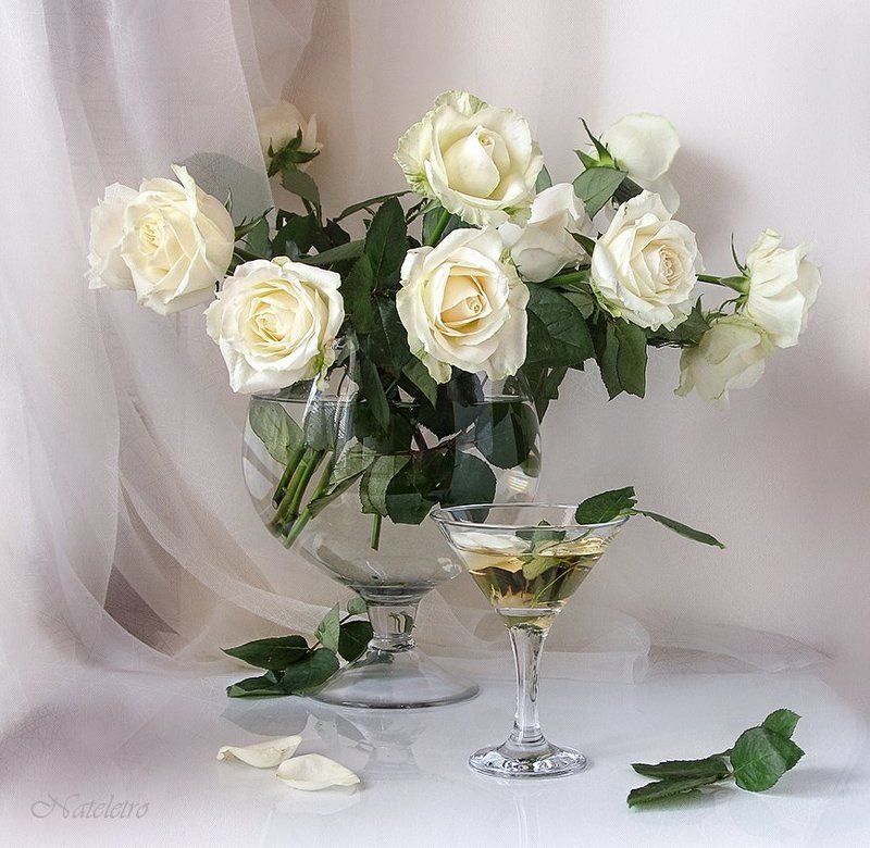 ~***~ фото превью