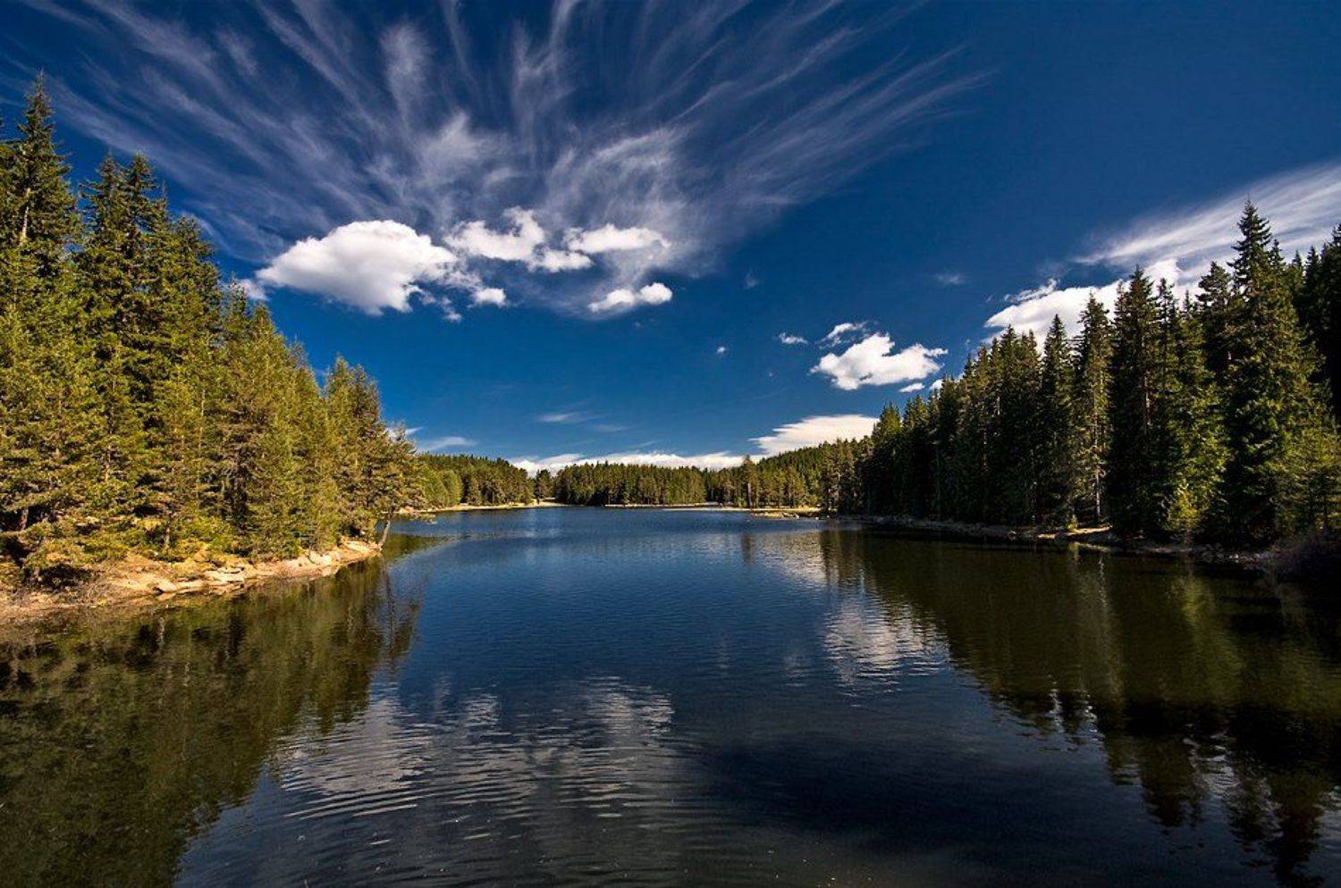 , Светозар Кръстев