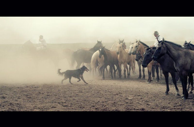 Gaucho,Argentina фото превью