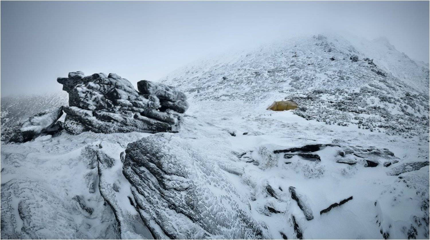 , Денис Кривой