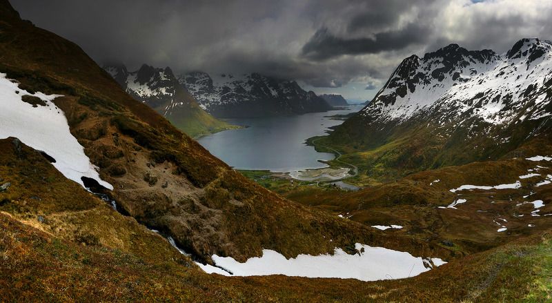 Holodriga. I surovo фото превью