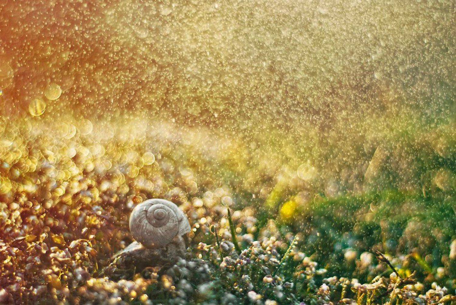 , Александра Александрова