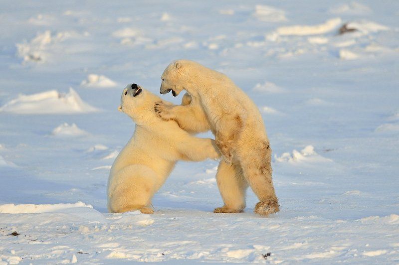 Ты кто такой? фото превью