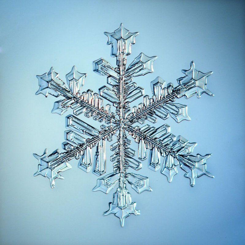 Геометрия зимы фото превью