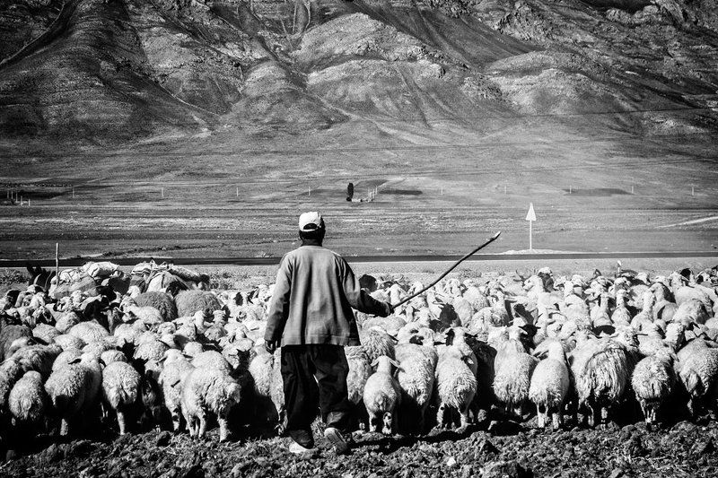 choppan фото превью