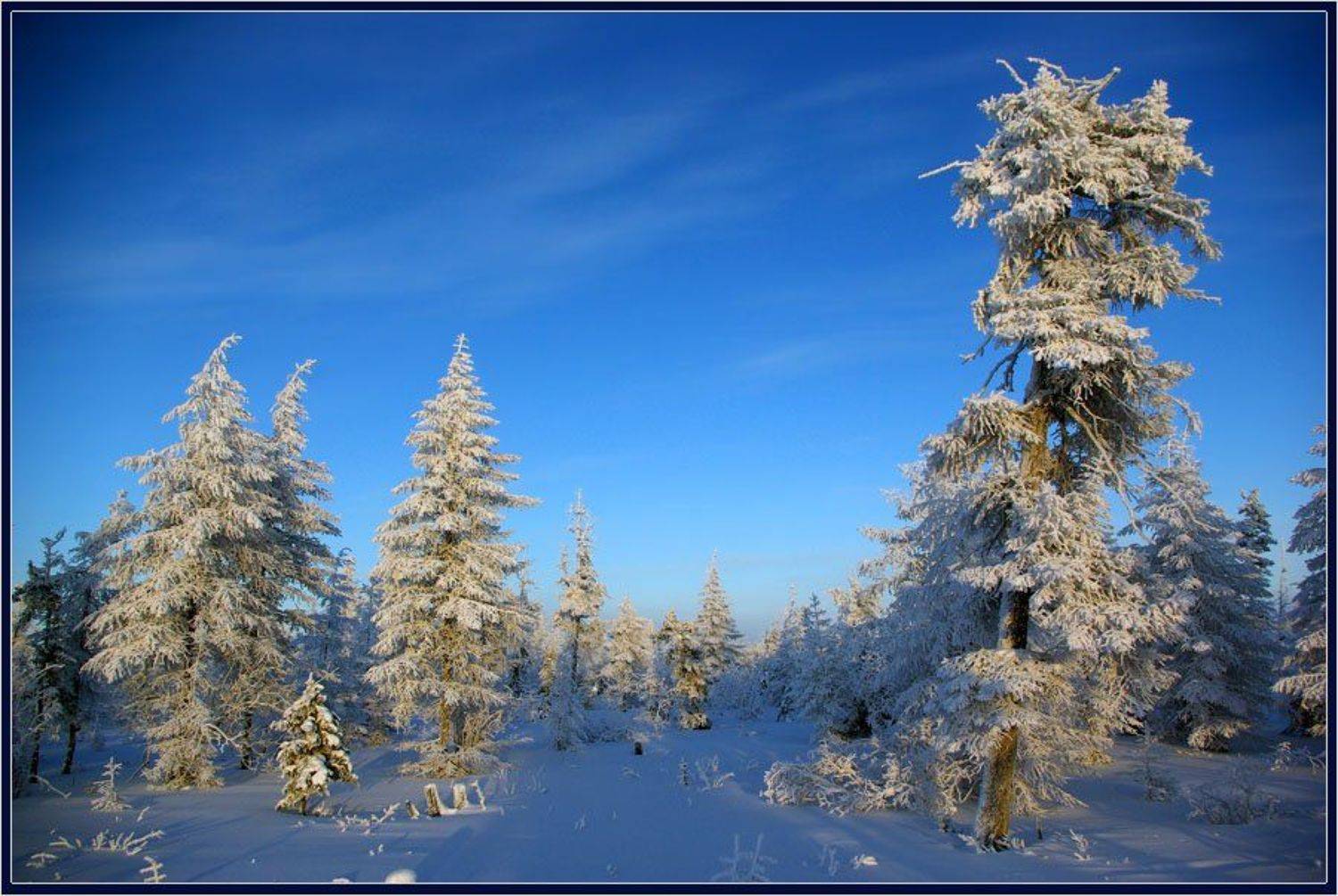 тайга, зима, мороз, якутия, Солодухин Виктор