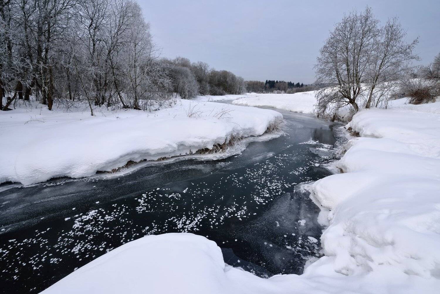 , Максим Евдокимов
