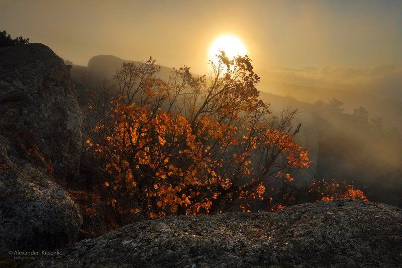 Место для любителей помечтать.... фото превью