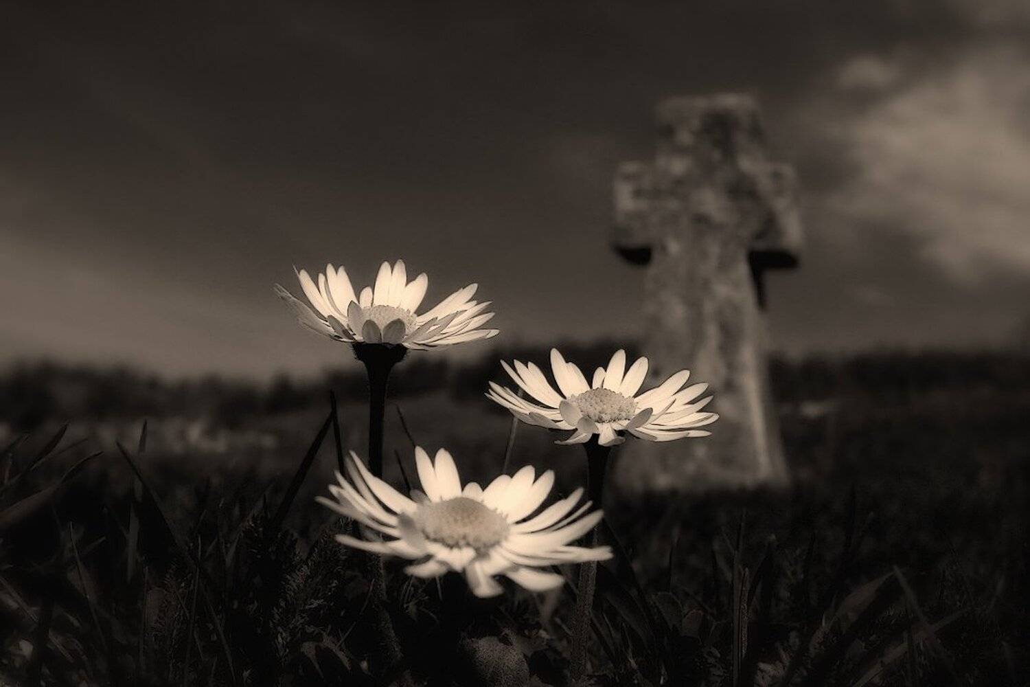 , Ирина Костова